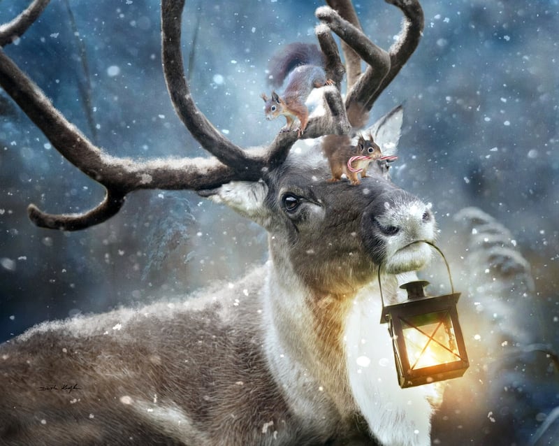 Enchanted Festivals