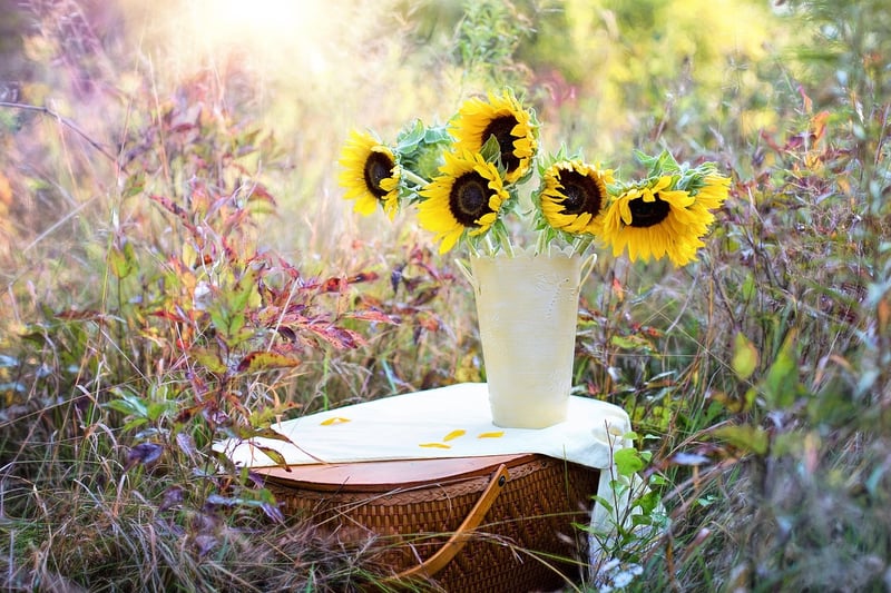 Flower in a garden